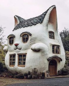 a large white cat shaped house with windows