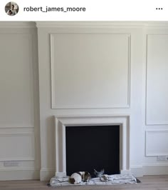 a cat is laying on the floor in front of a fireplace with white paneling