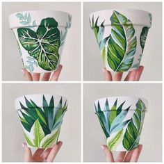 four pictures of different leaves on a planter with multiple angles to show the top and bottom