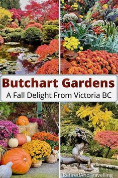 several pictures of different types of flowers and plants with text that reads, buttchart gardens