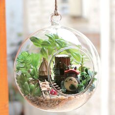 a glass ornament filled with plants on top of a window sill