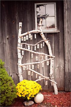 a white tree branch with calendars on it next to a yellow flower and potted plant