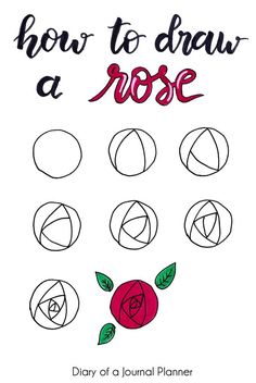 how to draw a rose book cover