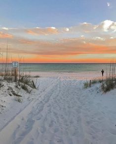 a person is standing on the beach at sunset