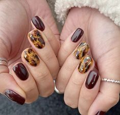 September Nails, Leopard Nails, Cinnamon Spice, Minimalist Nails, Dream Nails, Funky Nails, Short Acrylic Nails, Gold Nails, Love Nails