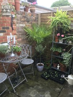 several potted plants are sitting in the corner of a small patio area with two tables and chairs