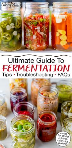 the ultimate guide to fermentation tips and troublesing faqs