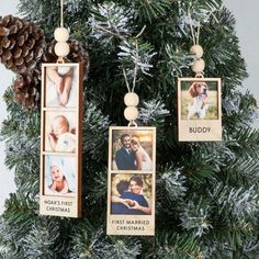 three christmas ornaments hanging from a tree with pine cones on the top and below them