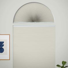 an arched window with white shades in a living room next to a potted plant