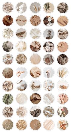 an image of many different types of shells