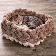 a cat curled up in a bed on the floor