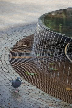 a pigeon standing next to a water fountain