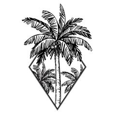 a black and white drawing of a palm tree in a diamond shaped frame on a white background