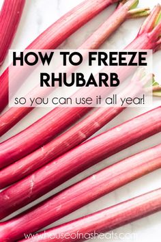 how to freeze rhubarb so you can use it all year