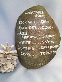 a rock with words written on it next to a pine cone and white snow flakes