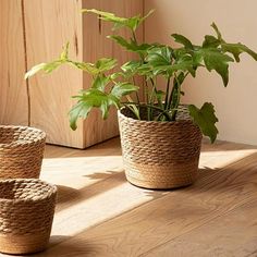 three planters sitting on top of a wooden table