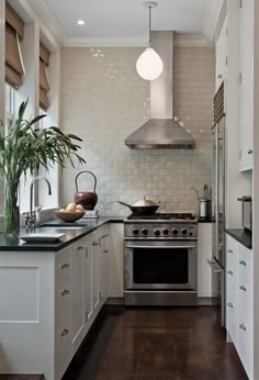 a kitchen with an oven, stove and potted plant on the counter in front of it