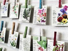 many cards are hanging on a line with clothes pins attached to them and some flowers