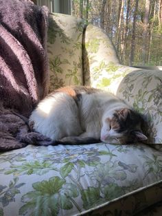 cat sleeping on a pretty chair in the sunlight Sleeping On The Couch Aesthetic, Floral Couch Aesthetic, Cottagecore Couch, Sleeping On Couch, Cat On Couch, Couch Aesthetic, Cat In Bed Aesthetic, Cat Snuggling, Sleeping On The Couch