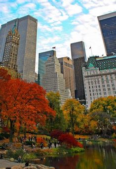 the city is full of tall buildings and colorful trees