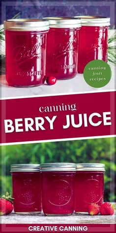 the cover of canning berry juice