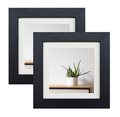 two black framed pictures with a plant in it