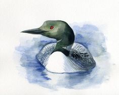 a watercolor painting of a duck with red eyes