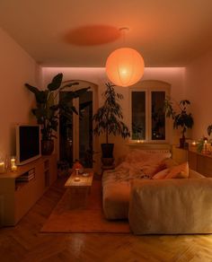 a living room filled with furniture and lots of plants