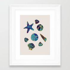 framed art print with seashells and starfish