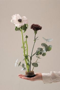 a hand holding a vase with flowers in it