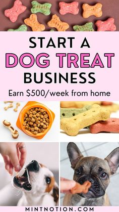 dog treats are shown with the words, start a dog treat business earn $ 50 / week from home