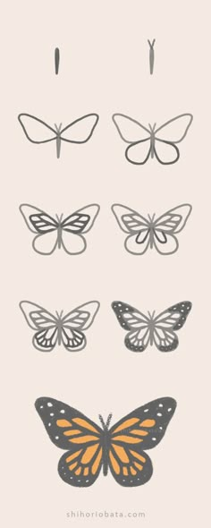 the different types of butterflies are shown in this graphic style, including one orange and one black