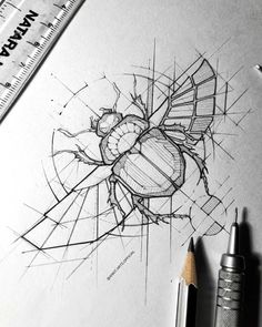 a pencil drawing of a bug on paper