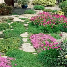 a garden with pink flowers and green grass