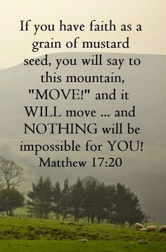 a green field with sheep in it and the words if you have faith as a grain of mustard seed, you will say to this mountain move