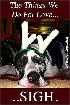 a black and white dog laying on top of a floor wearing reindeer antler horns