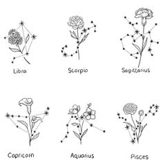 zodiac signs with flowers and stars on them