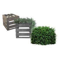 two planters with plants in them sitting next to each other on a white background