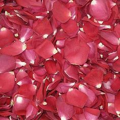 REDS Freeze Dried Rose Petals 1 box - 240 ounces Rose Petals Falling, Petals Falling, Rose Petals Wedding, Real Rose Petals, Flower Confetti, Red Rose Petals, Wedding Petals, Real Rose, Dried Rose Petals