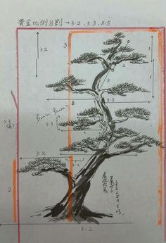 a drawing of a bonsai tree with its roots in the center and two sections labeled