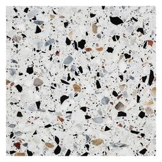 an image of white and black speckles on the ground with no one in it