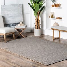 a living room with white walls and wooden floors, a large potted plant in the corner