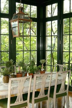 a dining room table surrounded by windows with potted plants