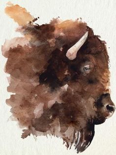 a watercolor painting of a bison's head