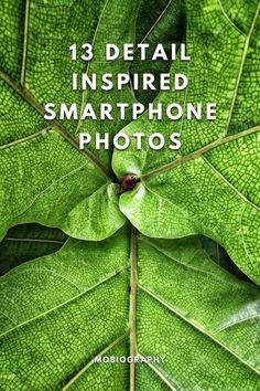 green leaf with text that reads, 13 detail inspired smartphone photos