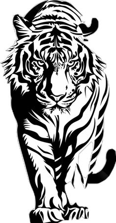 a black and white drawing of a tiger