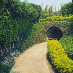 a tunnel in the middle of a lush green park