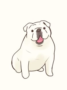 Cute white English Bulldog art, English Bulldog illustration , English Bulldog drawing,  cute English Bulldog art , for dog owners,  stickers for artists , dog breeds illustration English Bulldog Sketch, English Bulldog Drawing, English Bulldog Illustration, White English Bulldog, English Bulldog Art, Bulldog Illustration