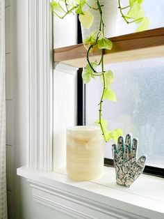 a potted plant sitting on top of a window sill next to a pair of gloves