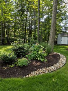 a rock garden bed in the middle of a yard with trees and grass around it